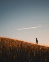 A silhouette of a man walking on a hill at sunset, with vibrant hues painting the sky in a breathtaking display of nature's beauty